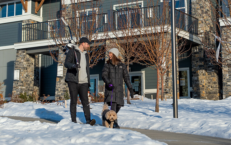 Couple walking dog