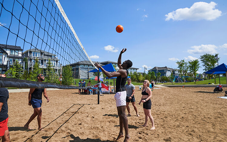 Beach volleyball