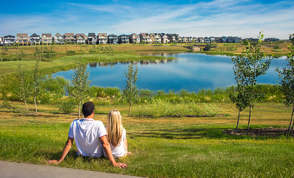 Overlooking the 74-Acre Mahogany wetland