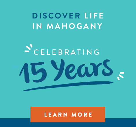 Celebrating 15 years graphic